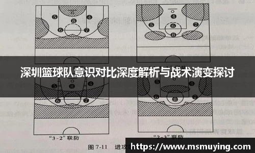 深圳篮球队意识对比深度解析与战术演变探讨