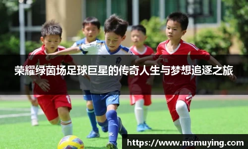 荣耀绿茵场足球巨星的传奇人生与梦想追逐之旅